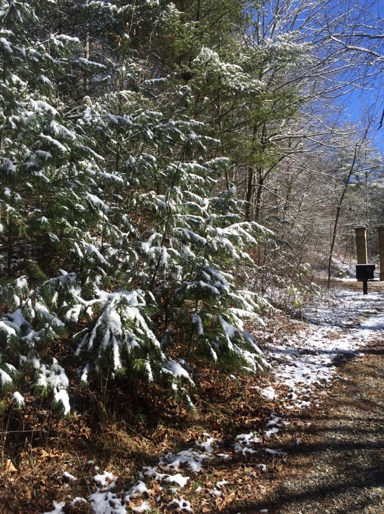 Late Spring Snow Pathway to the Retreat